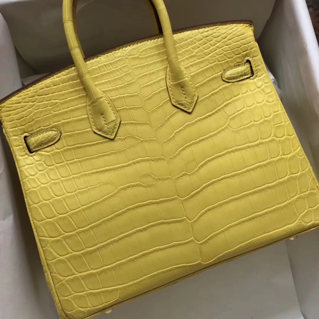 エルメスバッグ公式サイトエルメス9RレモンイエローシャイニークロコダイルレザープラチナバッグBirkin25CMゴールドバックル