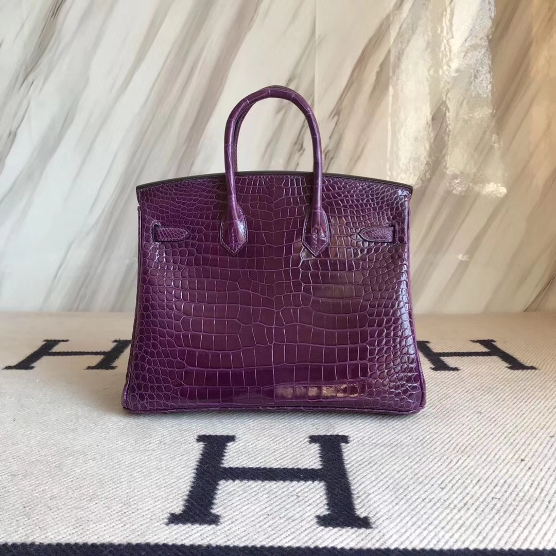 エルメスバーキンバッグエルメスシャイニークロコダイルレザープラチナバッグBirkin25CM9Gアメジストシルバーバックル