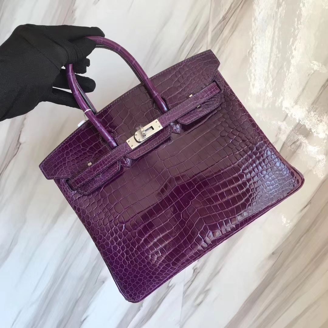 エルメスバーキンバッグエルメスシャイニークロコダイルレザープラチナバッグBirkin25CM9Gアメジストシルバーバックル