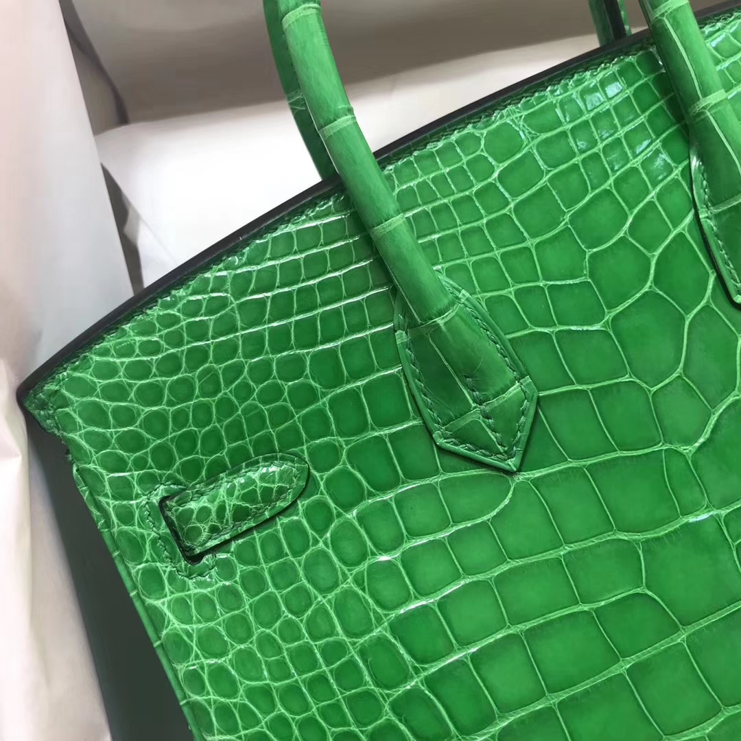 エルメスバーキンバッグエルメスシャイニークロコダイルレザープラチナバッグBirkin25CM1Lサボテングリーンゴールドバックル