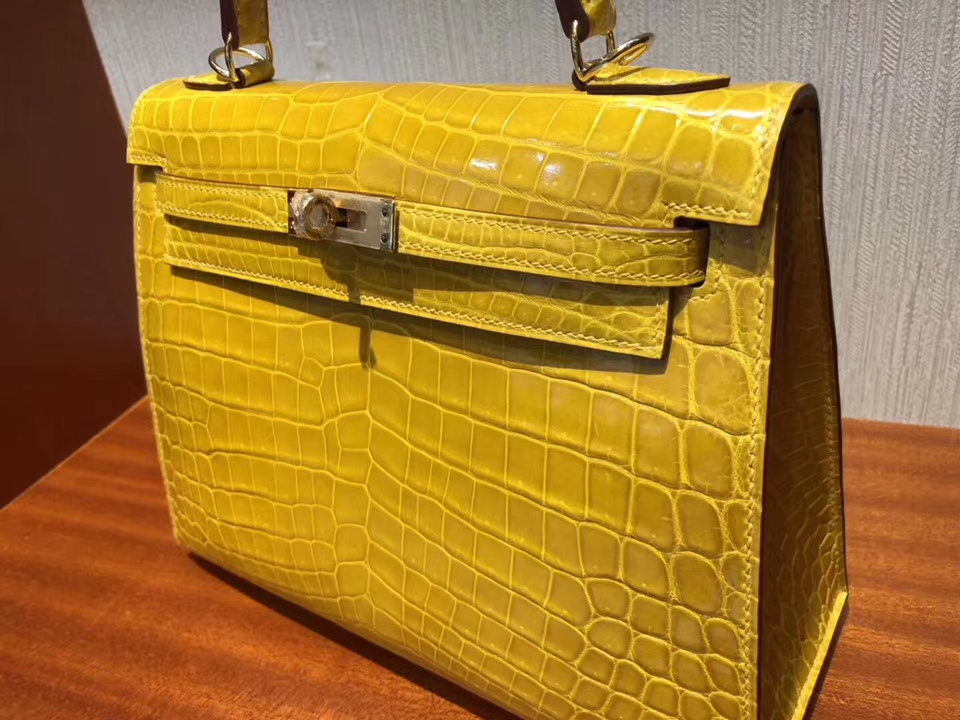 エルメスケリー25CMエルメス9Dアンバーイエローシャイニークロコダイルレザーケリーバッグゴールドバックル-hermes.earth エルメスケリー25CMエルメス9Dアンバーイエローシャイニークロコダイルレザーケリーバッグゴールドバックル