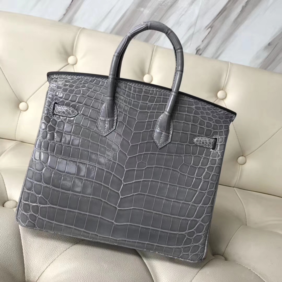 エルメスバーキンバッグエルメスシャイニーナイルクロコダイルレザープラチナバッグBirkin25CM8Uグレイシャーグレーゴールドバックル