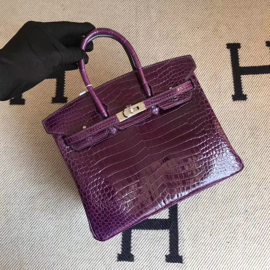 エルメスバーキンバッグエルメスシャイニークロコダイルレザープラチナバッグBirkin25CM9Gアメジストシルバーバックル