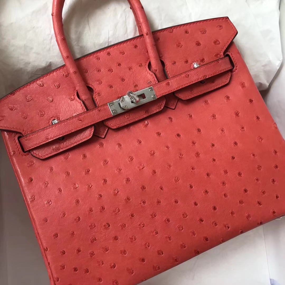 エルメスバーキン25CMエルメスA5カッコウレッドトップKKオーストリッチレザープラチナバッグシルバーバックル