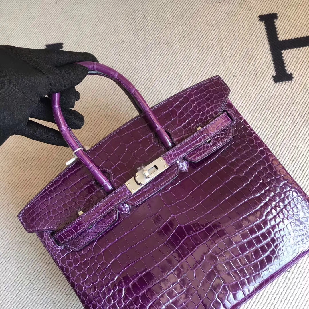 エルメスバーキンバッグエルメスシャイニークロコダイルレザープラチナバッグBirkin25CM9Gアメジストシルバーバックル