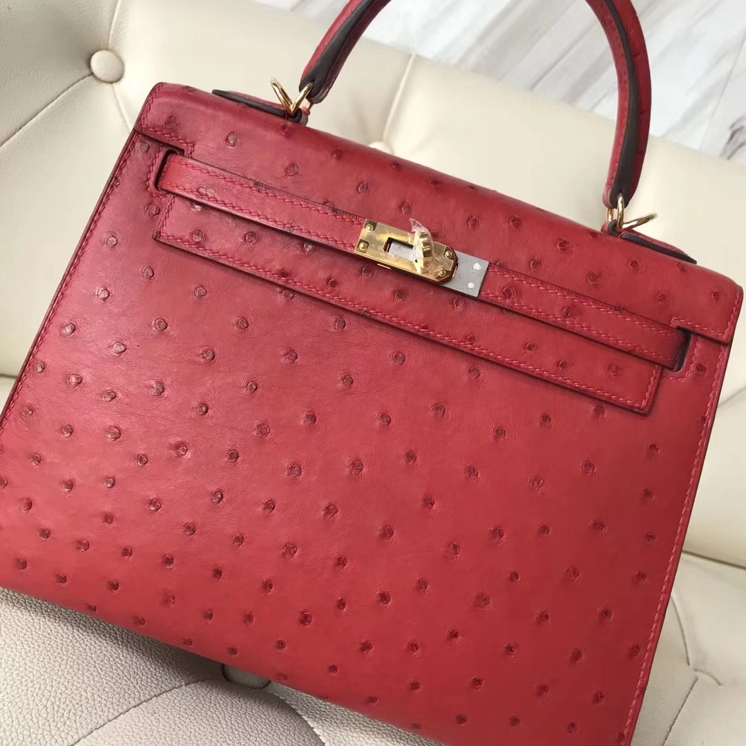 エルメスケリーバッグ価格エルメスケリー25CMQ5フラッグレッドKKオーストリッチスキンケリーバッグゴールドバックル