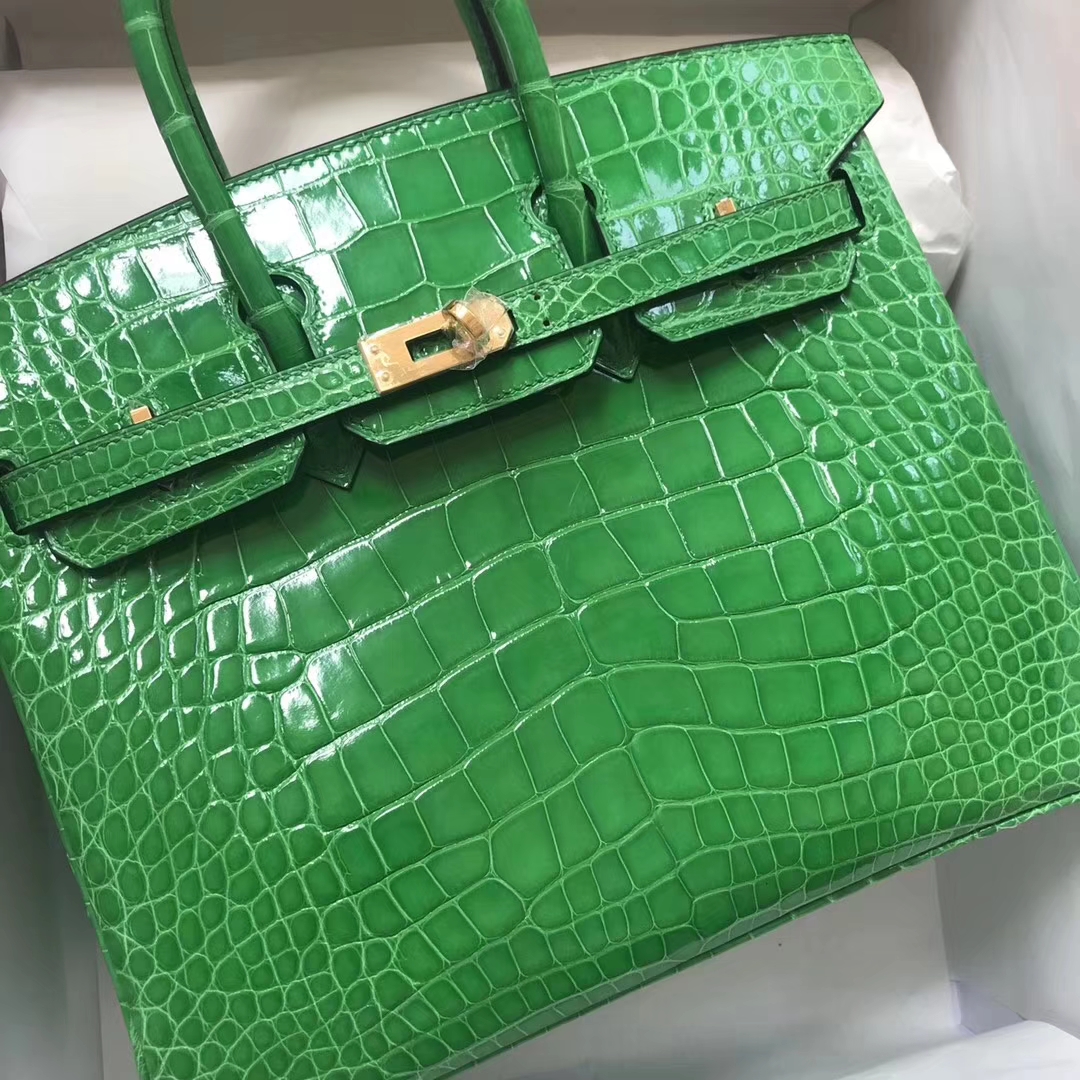 エルメスバーキンバッグエルメスシャイニークロコダイルレザープラチナバッグBirkin25CM1Lサボテングリーンゴールドバックル