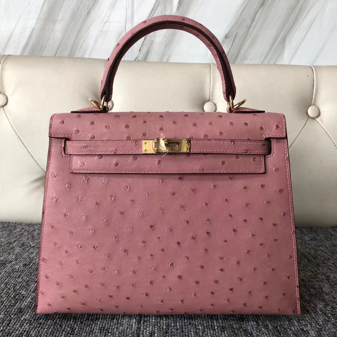 スポットエルメスケリー25cmエルメスCK94セラミックパウダーKKオーストリッチスキンケリーバッグゴールドバックル