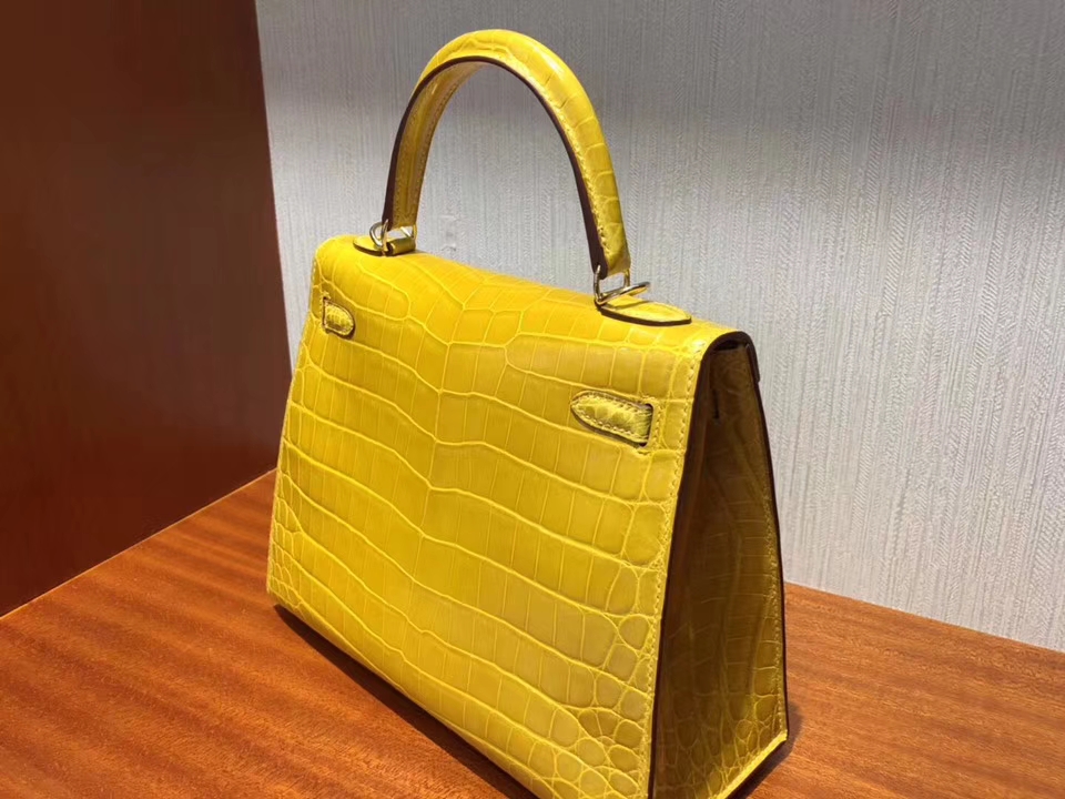 エルメスケリー25CMエルメス9Dアンバーイエローシャイニークロコダイルレザーケリーバッグゴールドバックル-hermes.earth エルメスケリー25CMエルメス9Dアンバーイエローシャイニークロコダイルレザーケリーバッグゴールドバックル