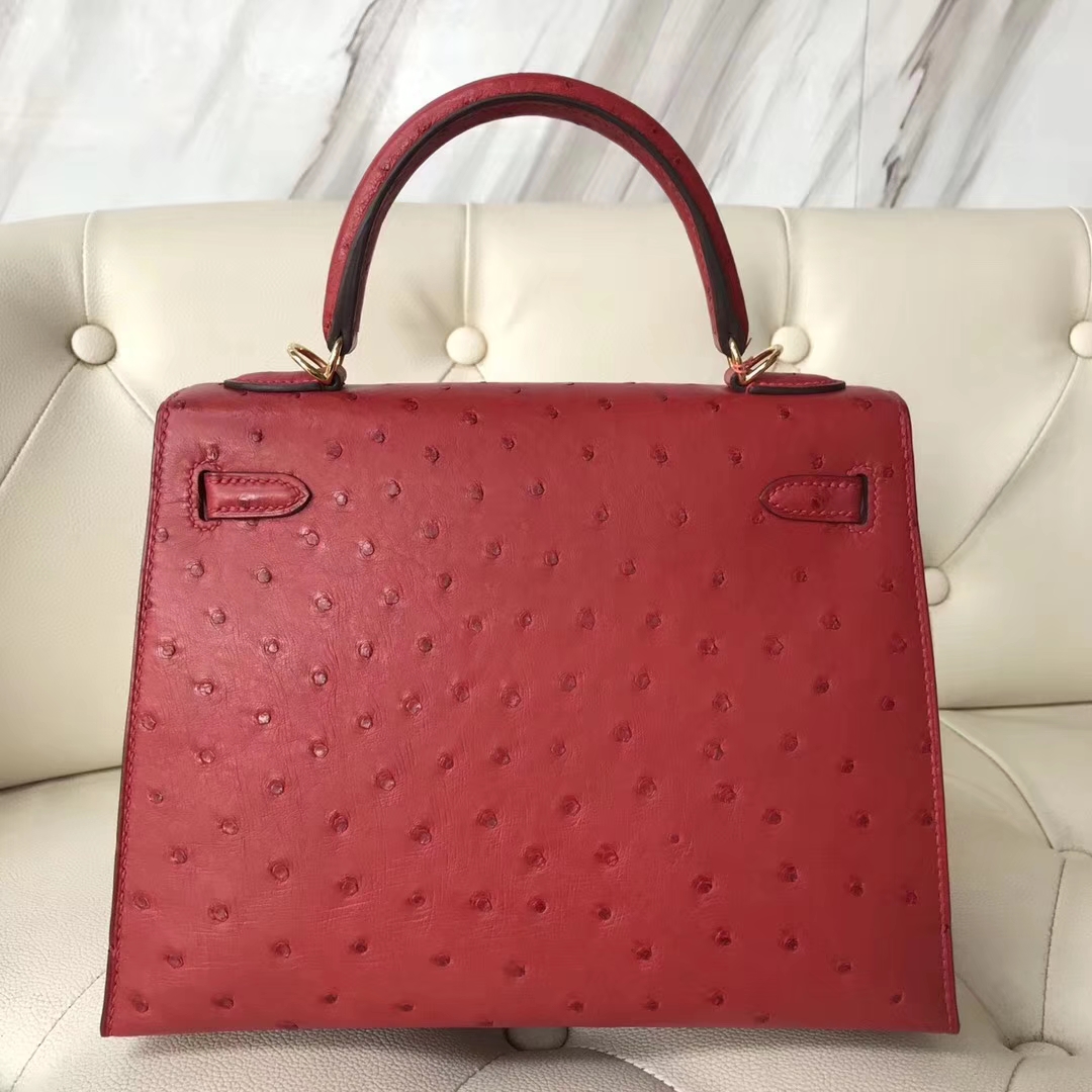 エルメスケリーバッグ価格エルメスケリー25CMQ5フラッグレッドKKオーストリッチスキンケリーバッグゴールドバックル