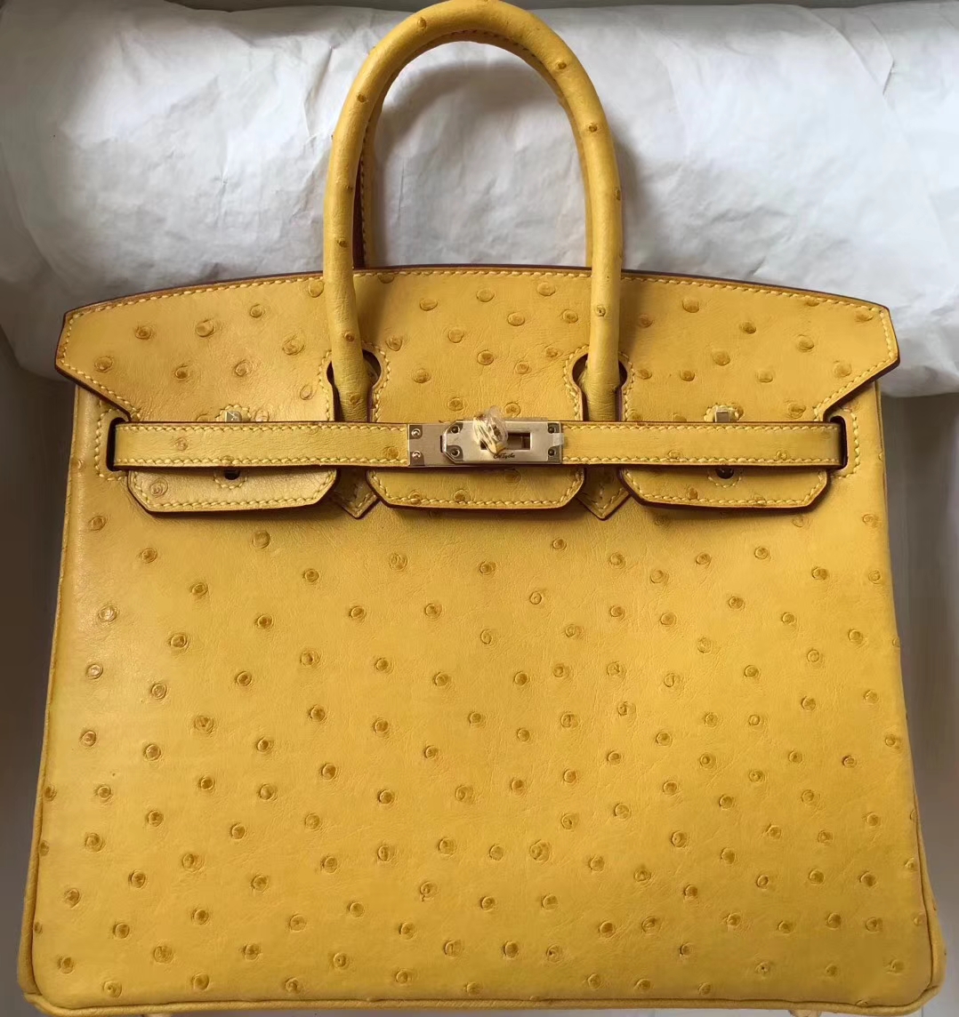 エルメスバーキンバッグエルメストップKKオーストリッチレザープラチナバッグ25CM9Dアンバーゴールドバックル-hermes.earth エルメスバーキンバッグエルメストップKKオーストリッチレザープラチナバッグ25CM9Dアンバーゴールドバックル