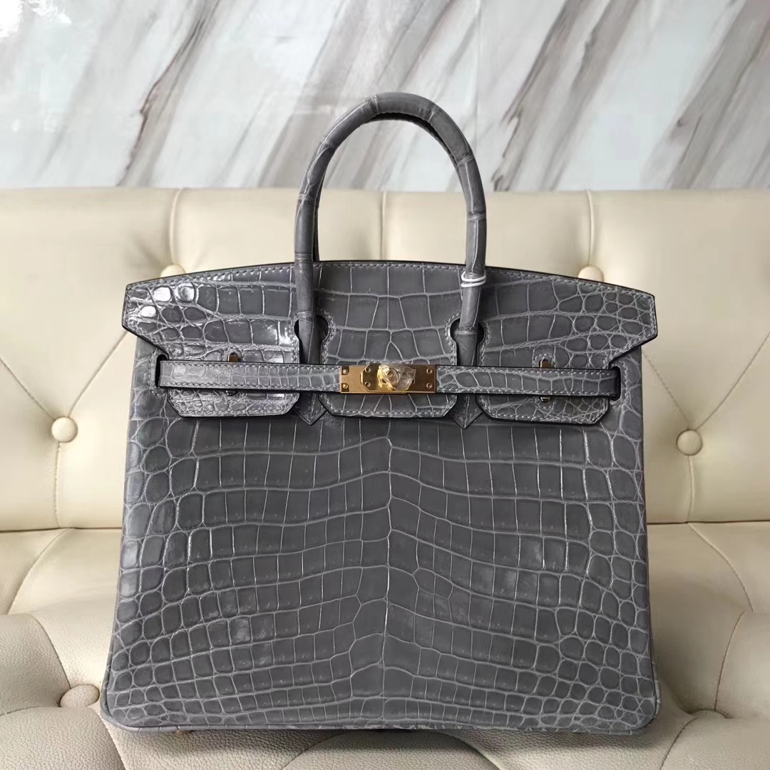 エルメスバーキンバッグエルメスシャイニーナイルクロコダイルレザープラチナバッグBirkin25CM8Uグレイシャーグレーゴールドバックル