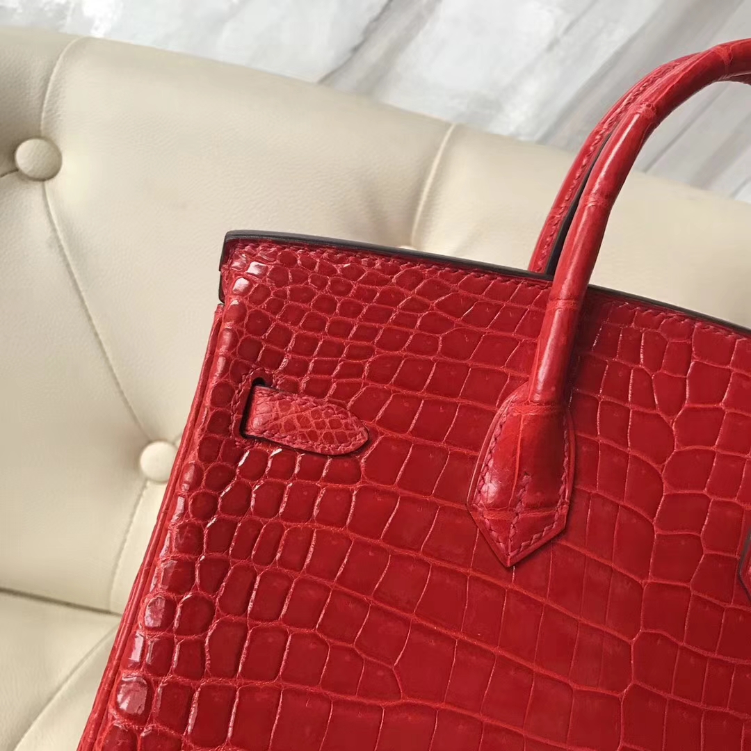 エルメスバーキンレディースバッグエルメスシャイニーオーストラリアンクロコダイルレザープラチナバッグBirkin25CMCK95フェラーリレッドゴールドバックル