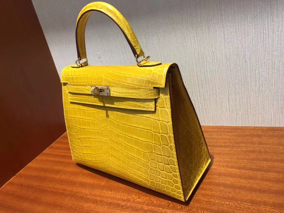 エルメスケリー25CMエルメス9Dアンバーイエローシャイニークロコダイルレザーケリーバッグゴールドバックル-hermes.earth エルメスケリー25CMエルメス9Dアンバーイエローシャイニークロコダイルレザーケリーバッグゴールドバックル