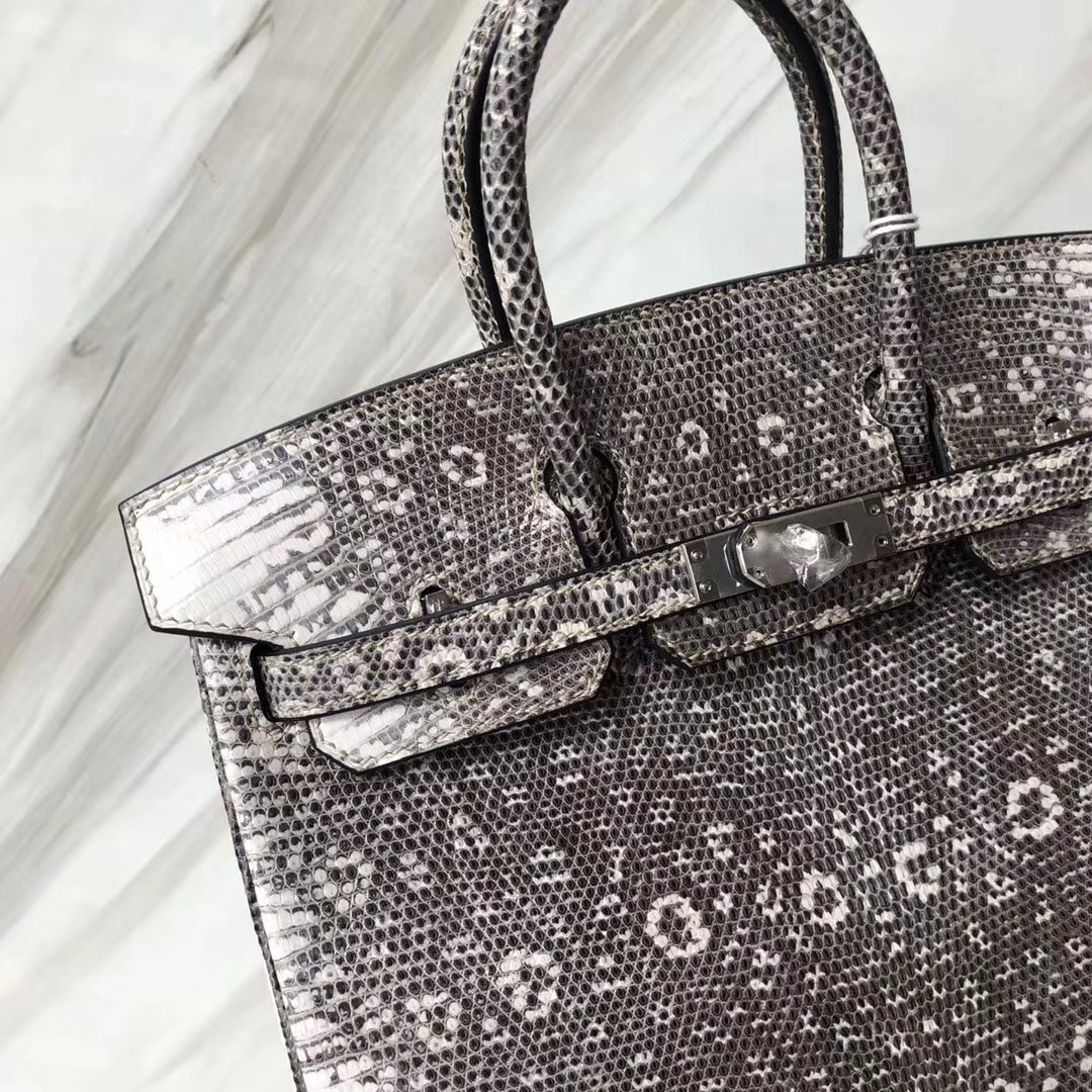 スポットエルメストカゲスキンプラチナバッグエルメスBirkin25CM01小さなヒマラヤシルバーバックル