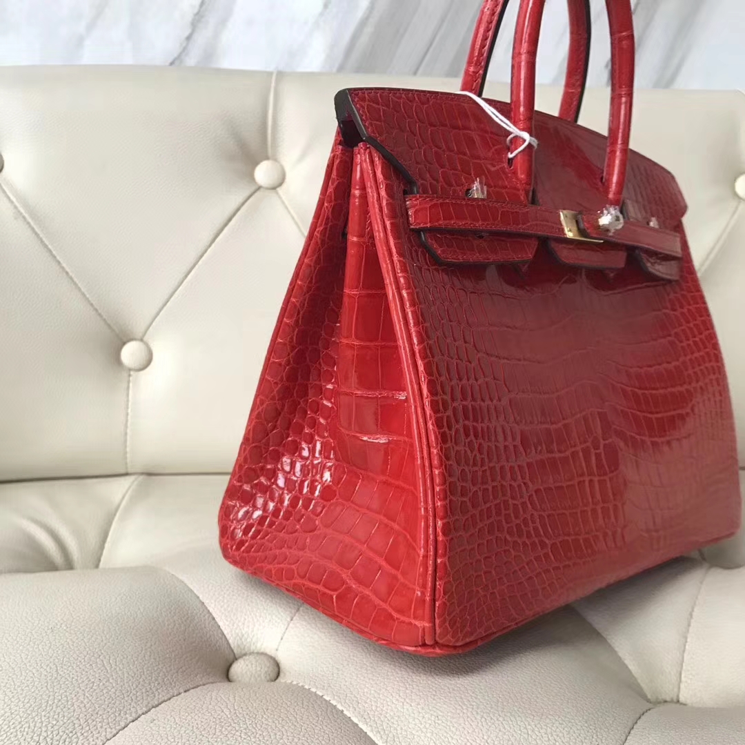 エルメスバーキンレディースバッグエルメスシャイニーオーストラリアンクロコダイルレザープラチナバッグBirkin25CMCK95フェラーリレッドゴールドバックル